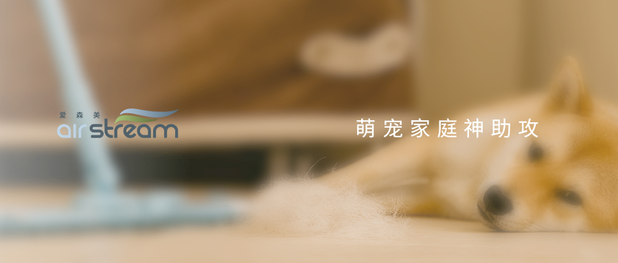 愛寵換毛季“叕”來了，你還毫無準(zhǔn)備？